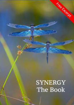 Synergy - An Leabhar