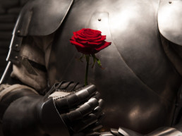 Heart of chivalry
